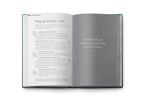 Resilient ME Gratitude Journal