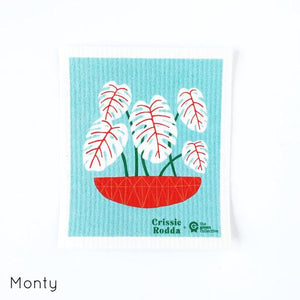 Cloth, Dish Spruce